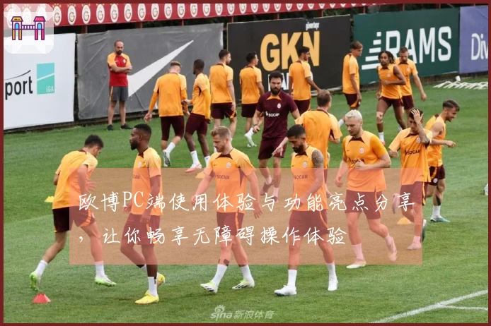 欧博PC端使用体验与功能亮点分享，让你畅享无障碍操作体验