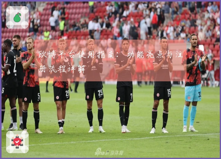 欧博平台使用指南：功能亮点与注册流程详解