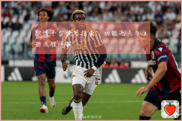 欧博平台使用指南：功能亮点与注册流程详解